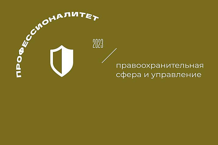 Профессионалитет. Правоохранительная сфера и управление